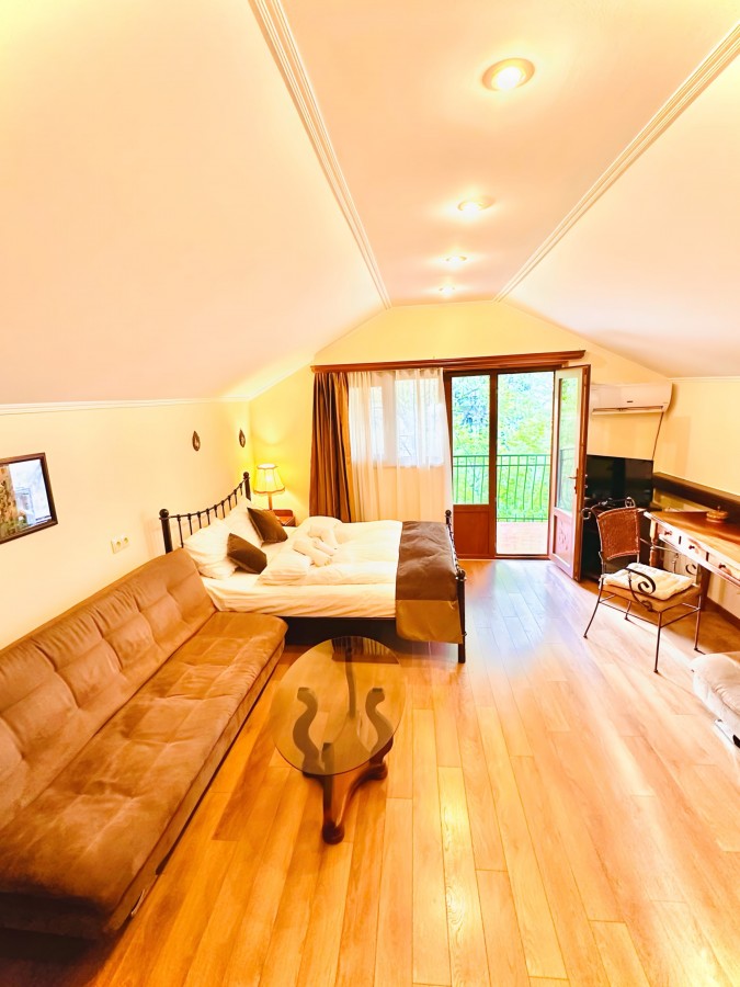 Double Room with Balcony