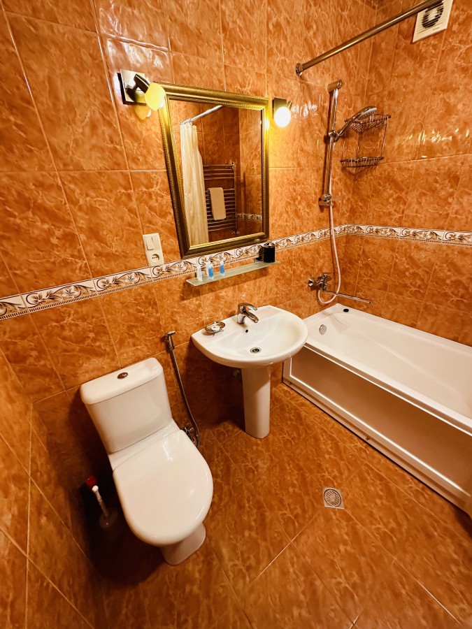 Bathroom / Standard Double Room