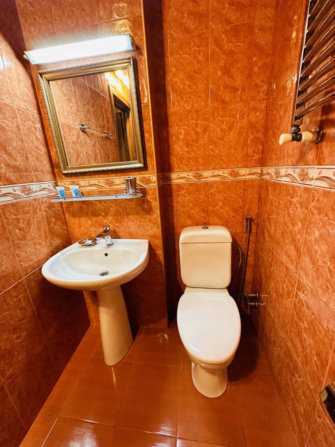 Bathroom / Standard Room